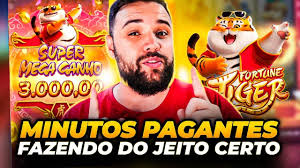 mega bet casino imagem de tela 5