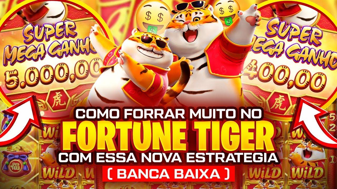 qual horario para jogar fortune tiger imagem de tela 4