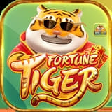 qual horario para jogar fortune tiger ícone